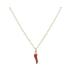  RVS Ketting