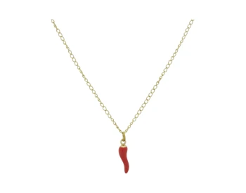  RVS Ketting