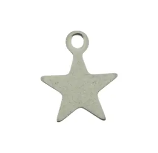 Ster bedel zilverkleurig - symbool voor hoop, licht en inspiratie