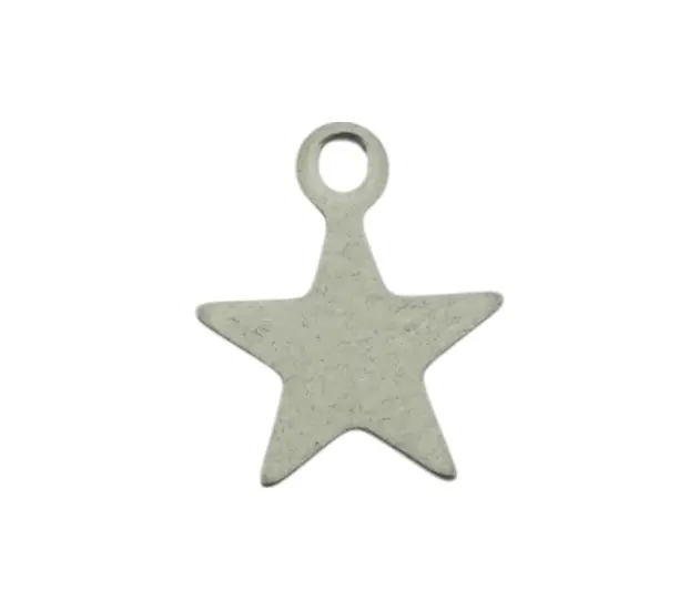 Ster bedel zilverkleurig - symbool voor hoop, licht en inspiratie