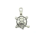 Schildpad bedel