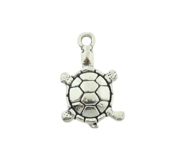 Schildpad bedel