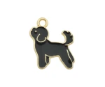Hond bedel